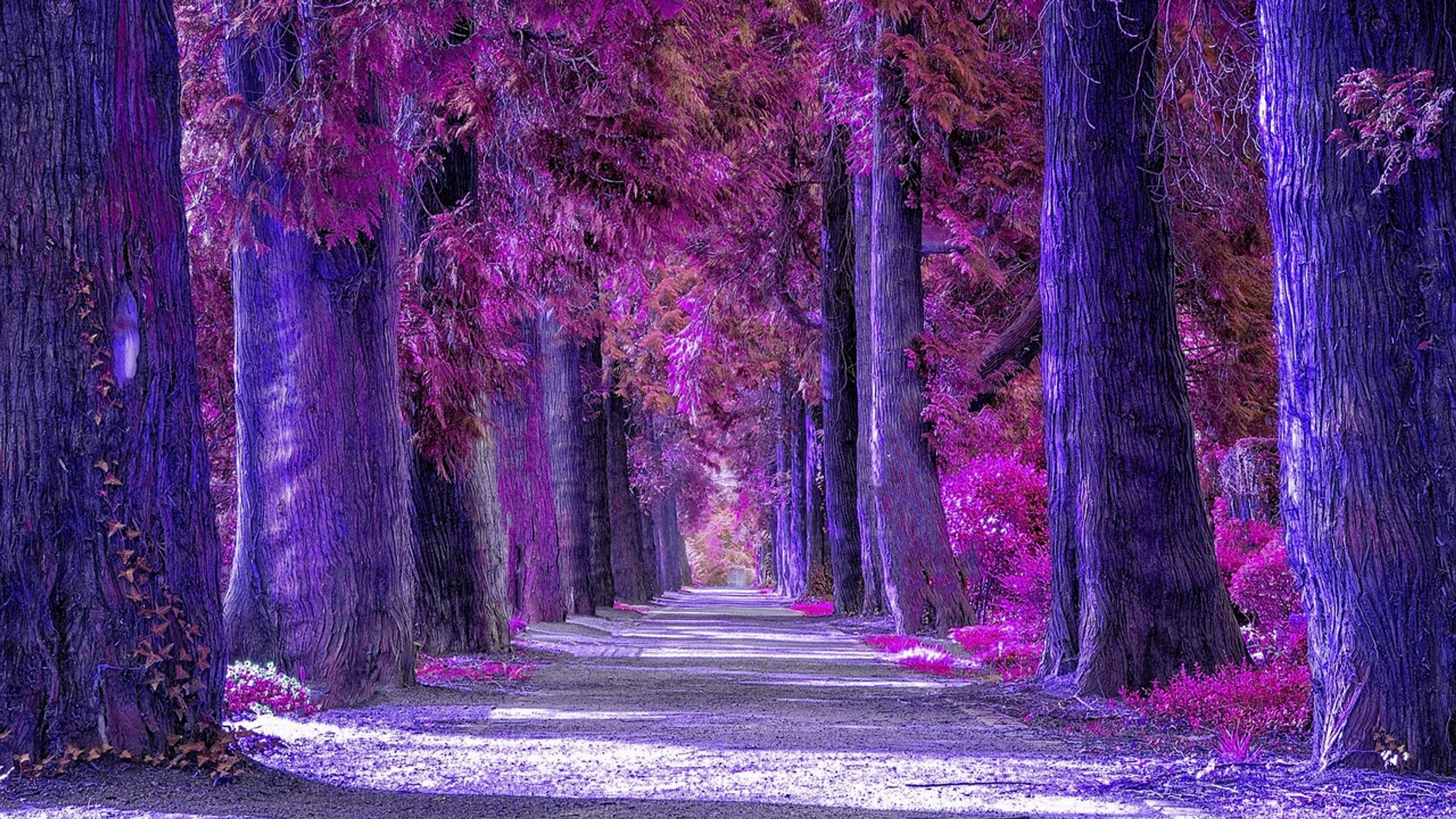 Scenery landscape nature - free 4K Ultra HD nature wallpaper for desktop