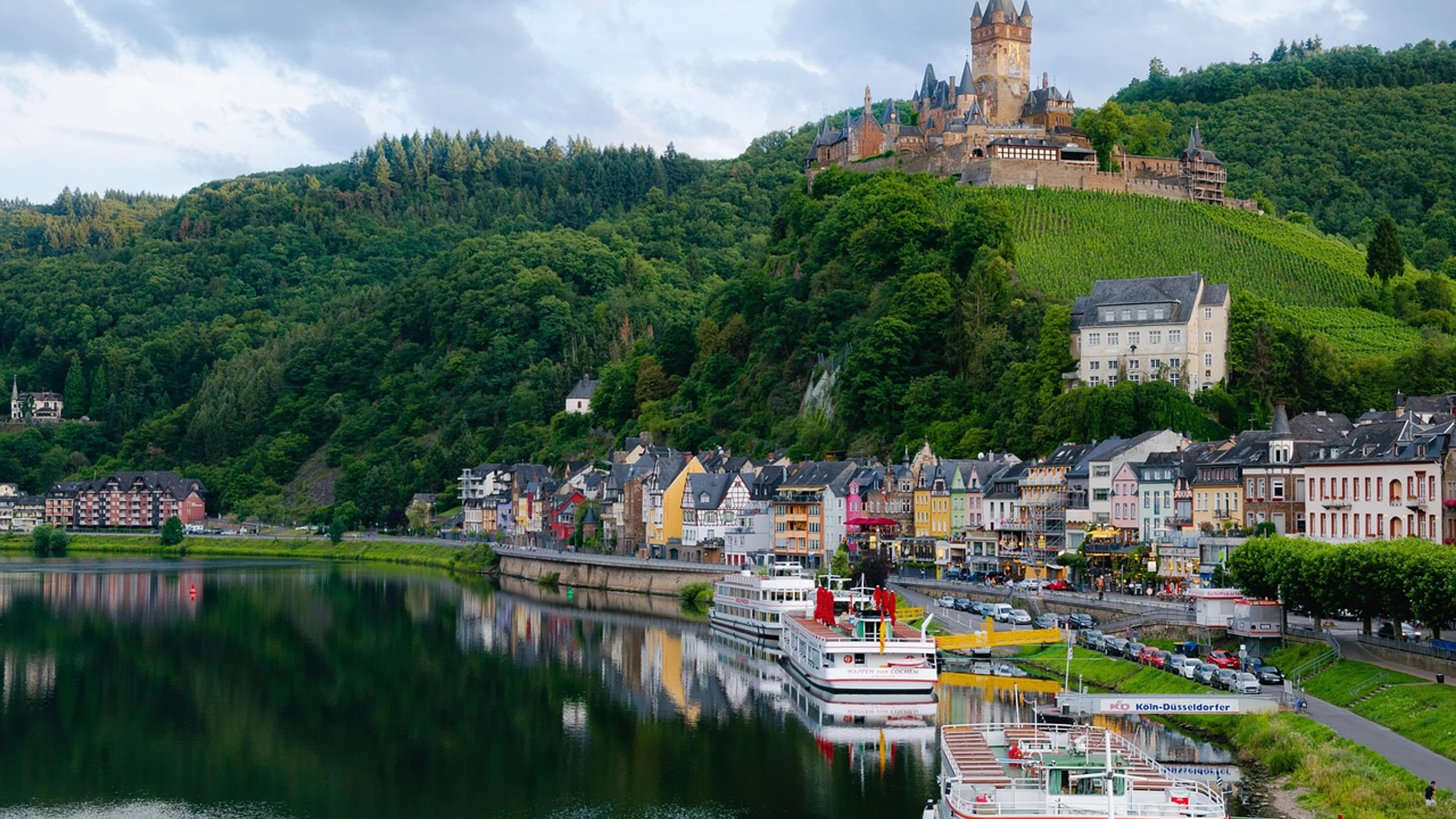 Sky landscape forest - free 4K Ultra HD nature wallpaper for desktop