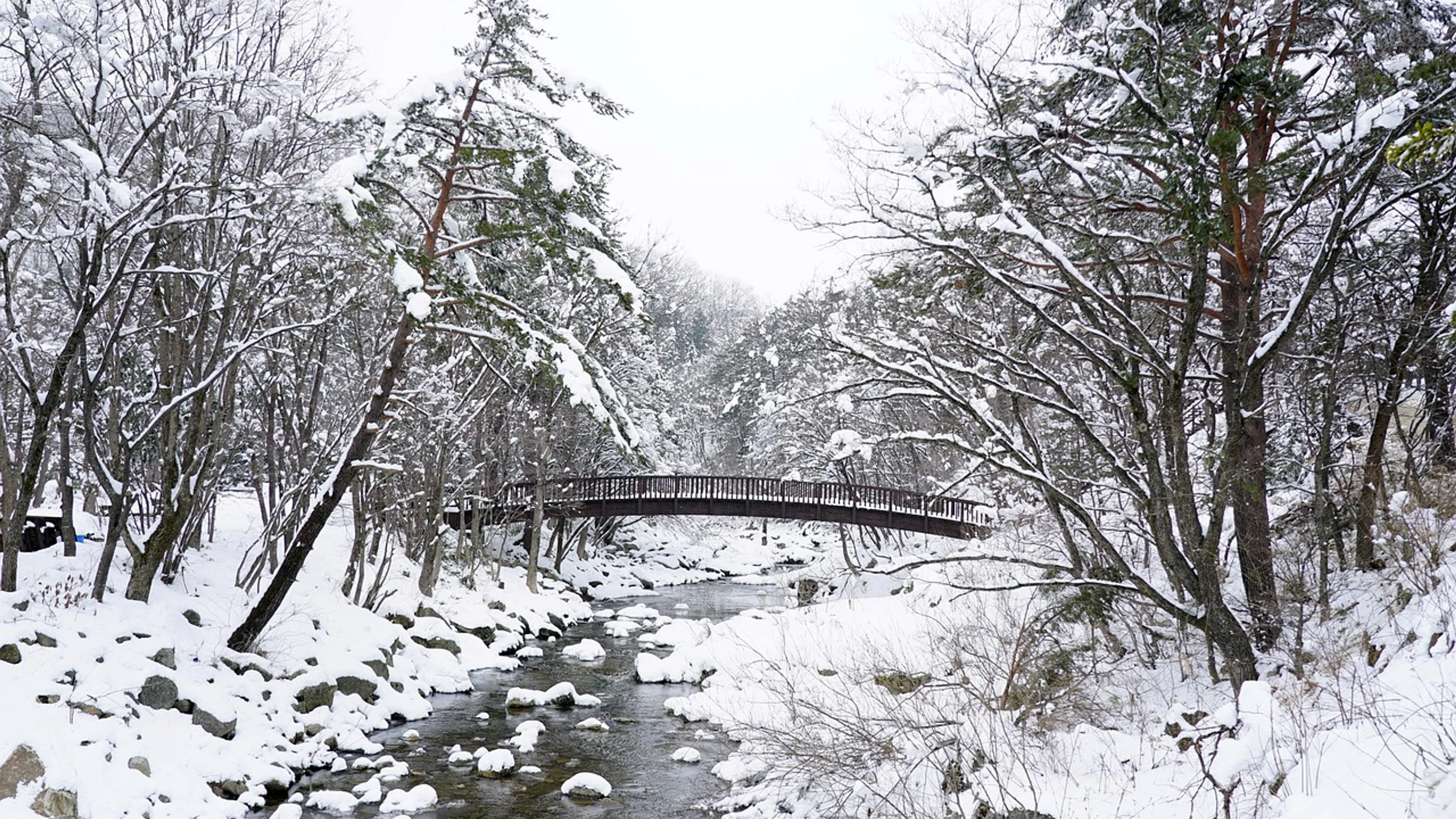 Snow winter brook - free 4K Ultra HD nature wallpaper for desktop
