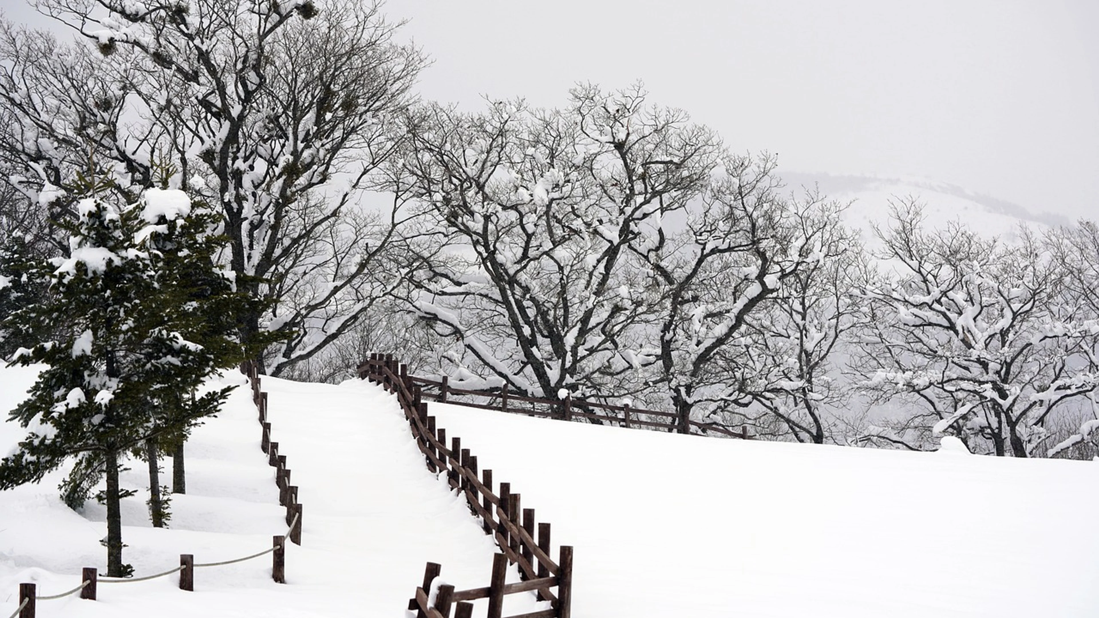 Snow winter brook - free 4K Ultra HD nature wallpaper for desktop
