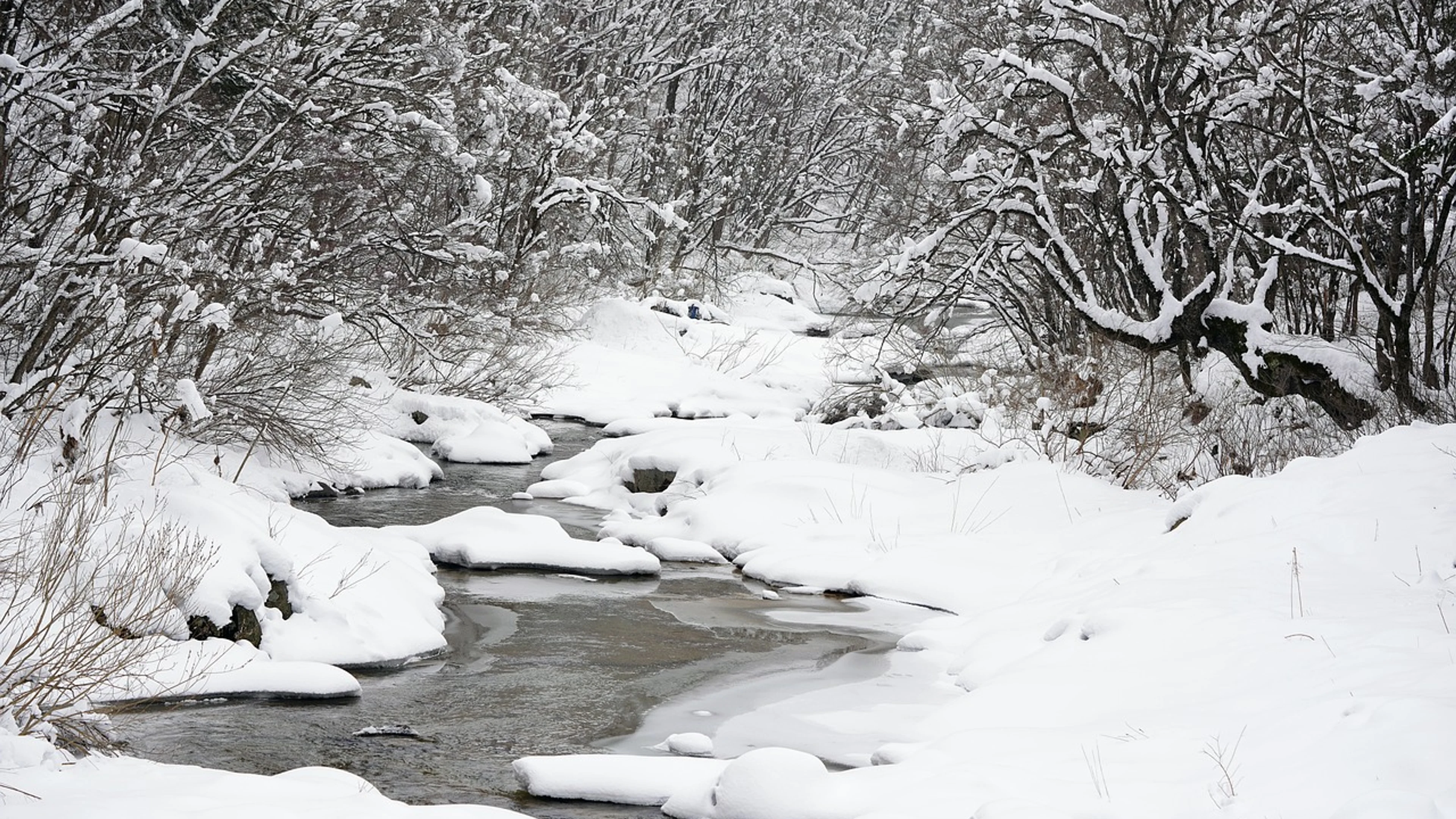 Snow winter brook - free 4K Ultra HD nature wallpaper for desktop
