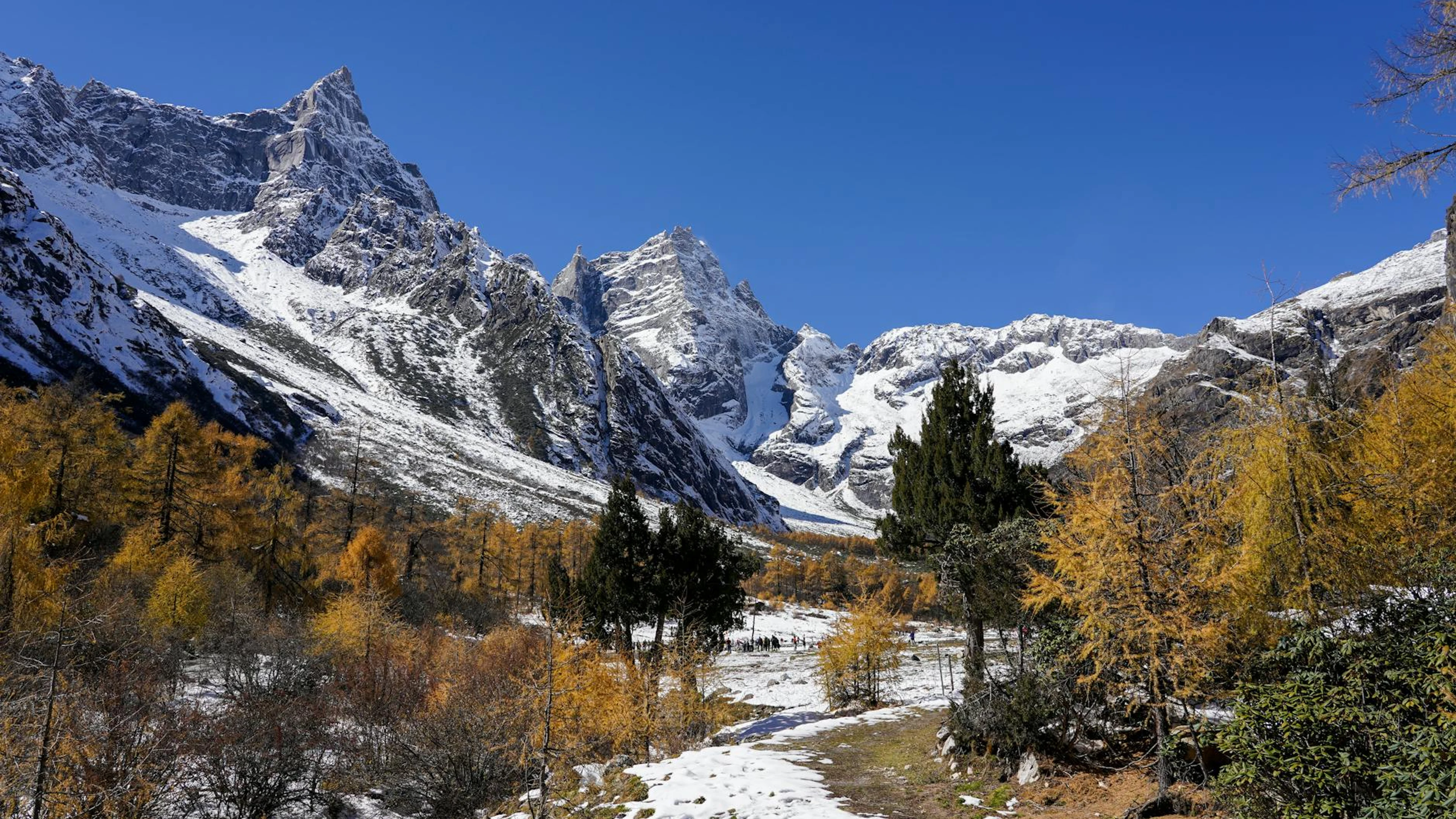 Stunning snowy mountains with autumn trees and a clear blue sky. - free 4K Ultra HD nature wallpaper for desktop