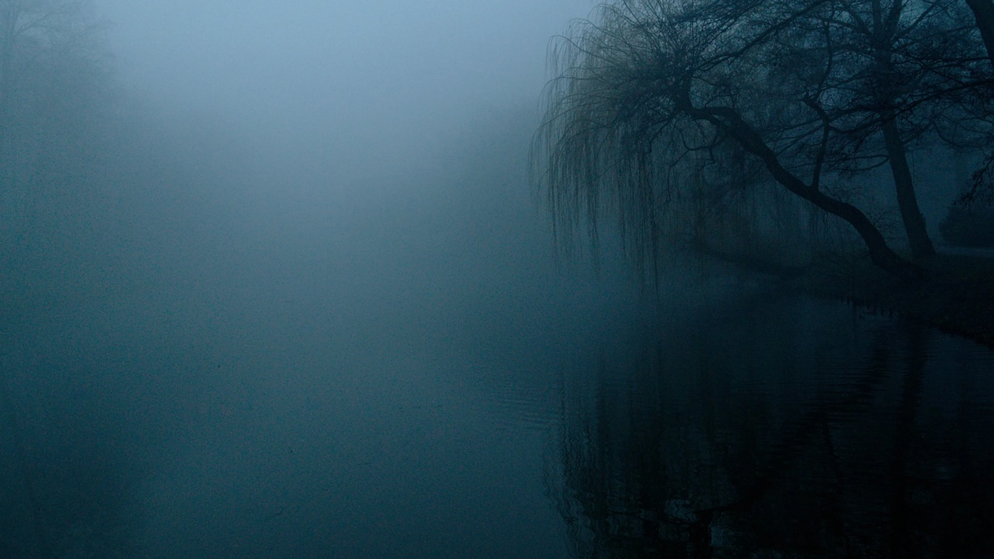 The fog darkness nature - free 4K Ultra HD nature wallpaper for desktop
