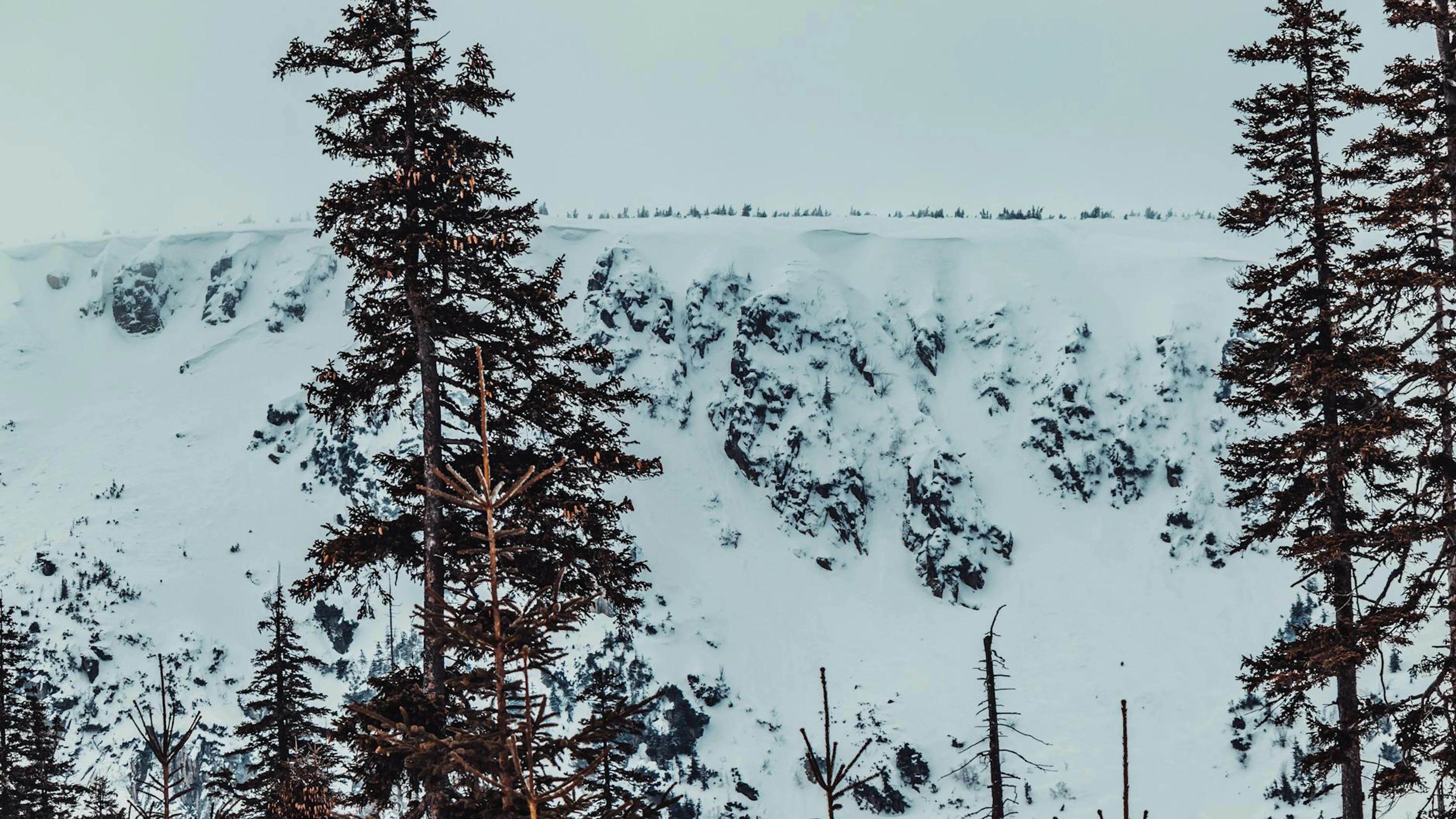Winter landscape of snow-covered mountains and trees in Karpacz, Poland. - free 4K Ultra HD nature wallpaper for desktop