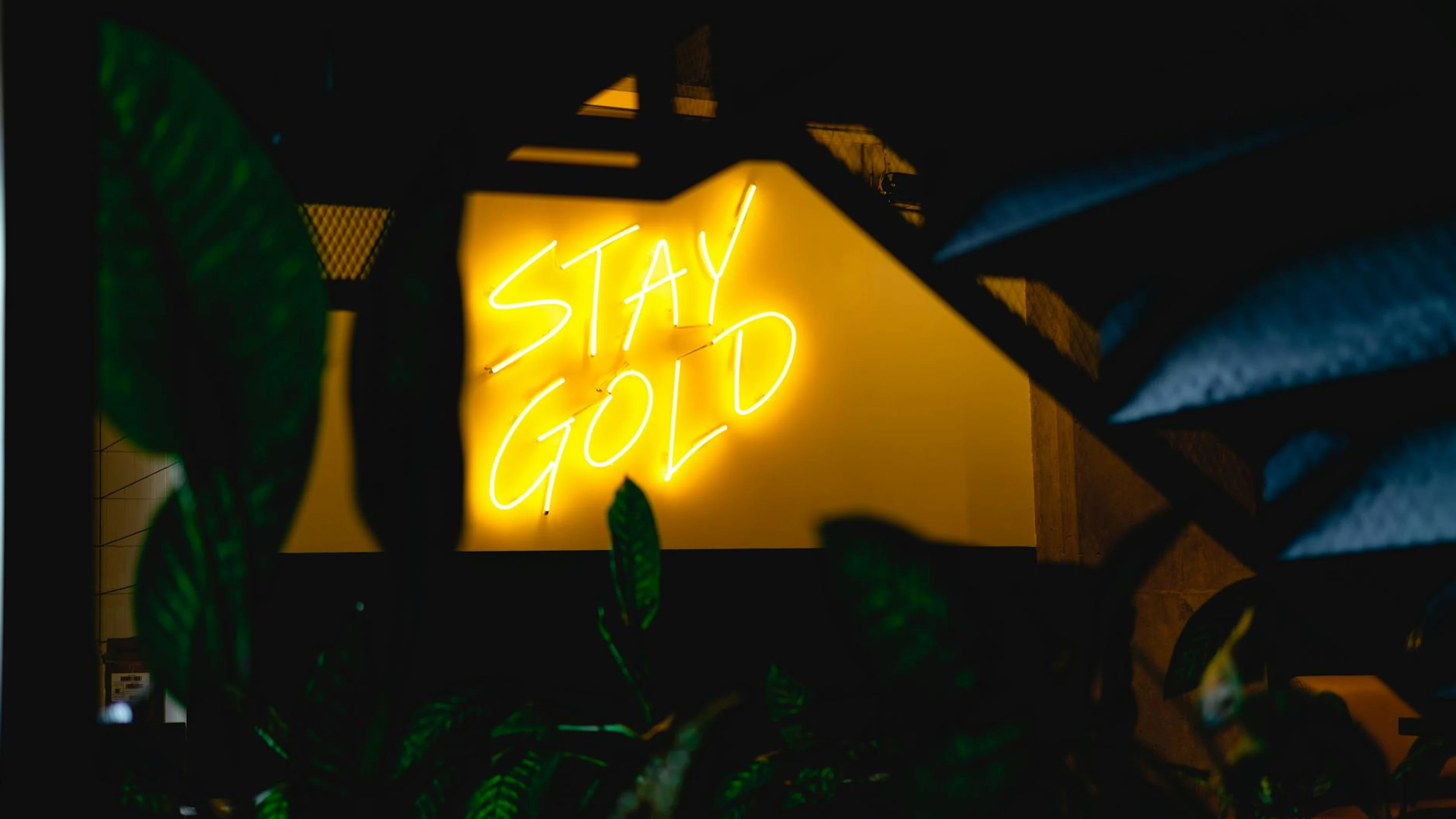 Bright neon sign with 'Stay Gold' message glowing in a dark room, surrounded by - free 4K Ultra HD neon wallpaper for desktop