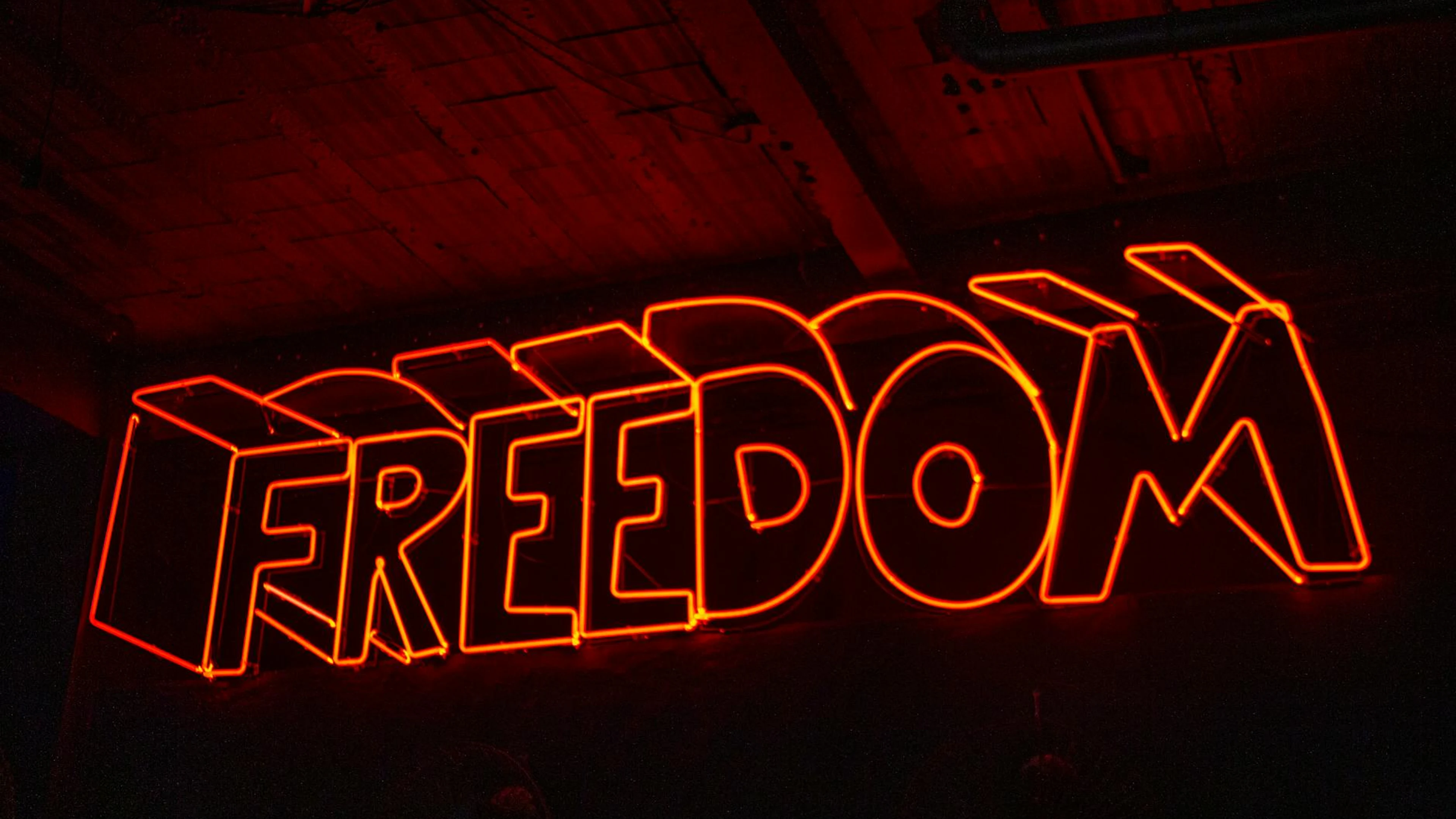 Vivid red neon 'Freedom' sign glowing against a dark backdrop, evoking a sense o - free 4K Ultra HD neon wallpaper for desktop