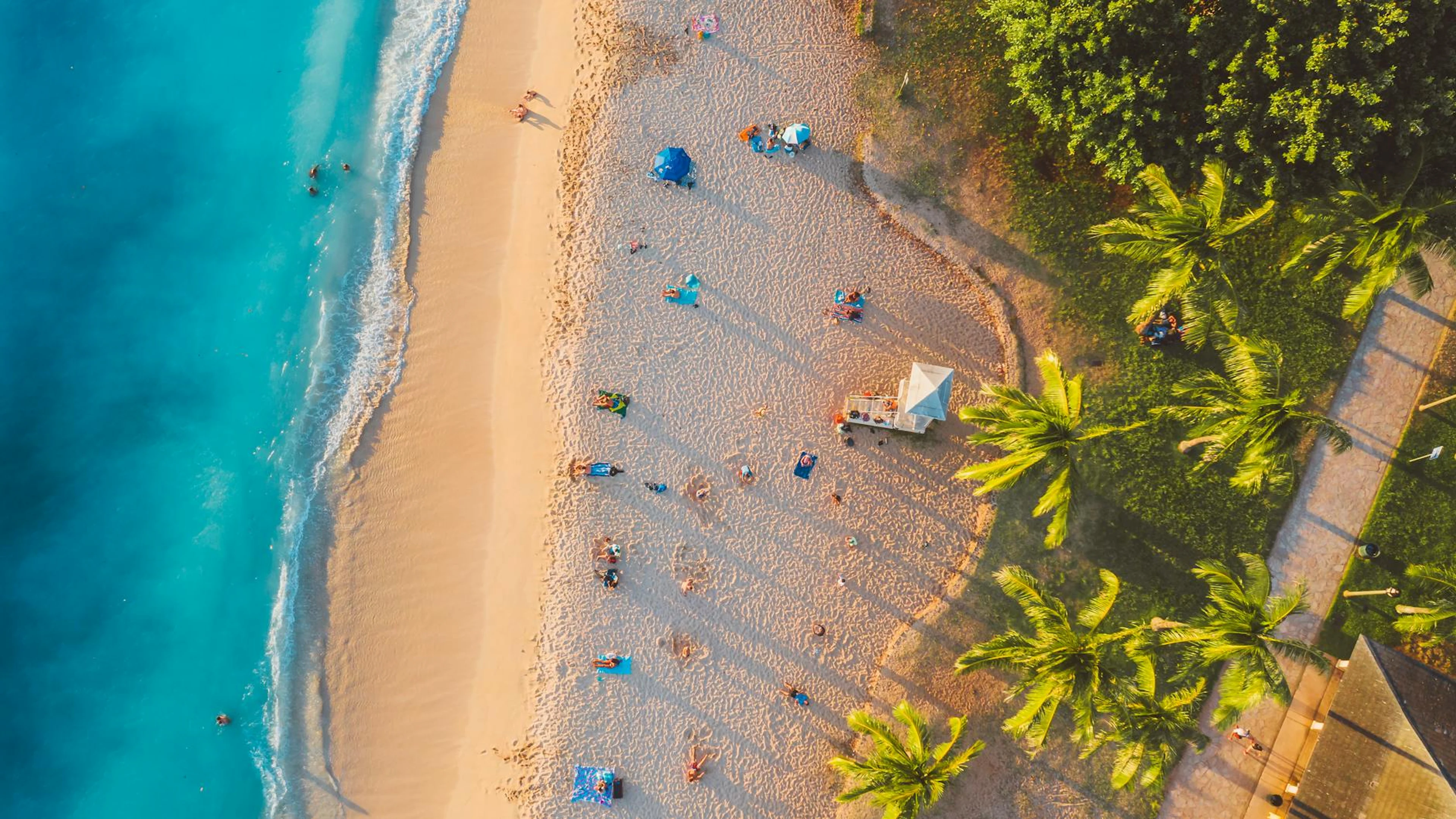 A stunning aerial view of a vibrant tropical beach with turquoise waters and lus - free 4K Ultra HD ocean wallpaper for desktop
