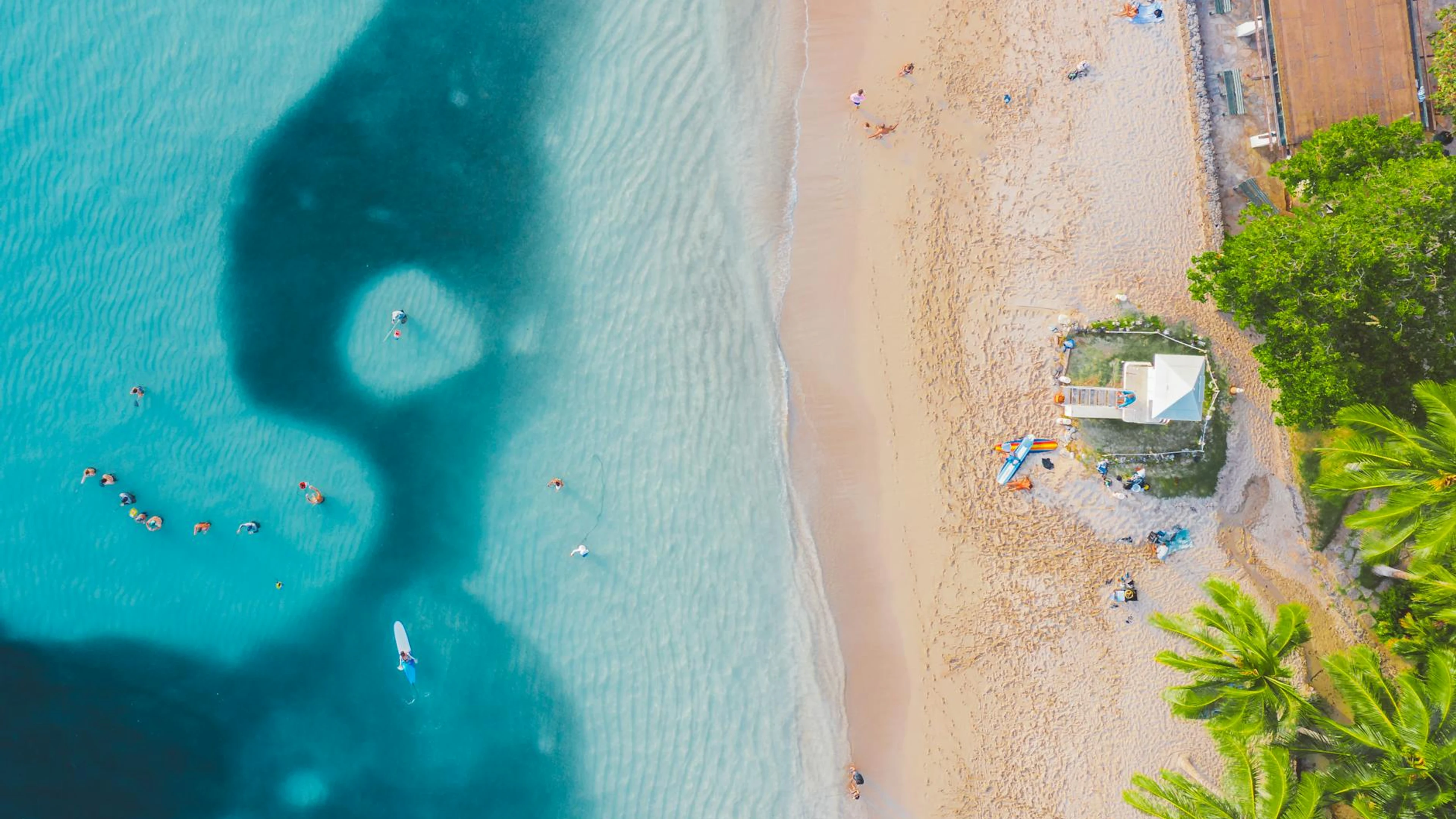 Aerial view of a vibrant tropical beach with palm trees and a lifeguard station - free 4K Ultra HD ocean wallpaper for desktop