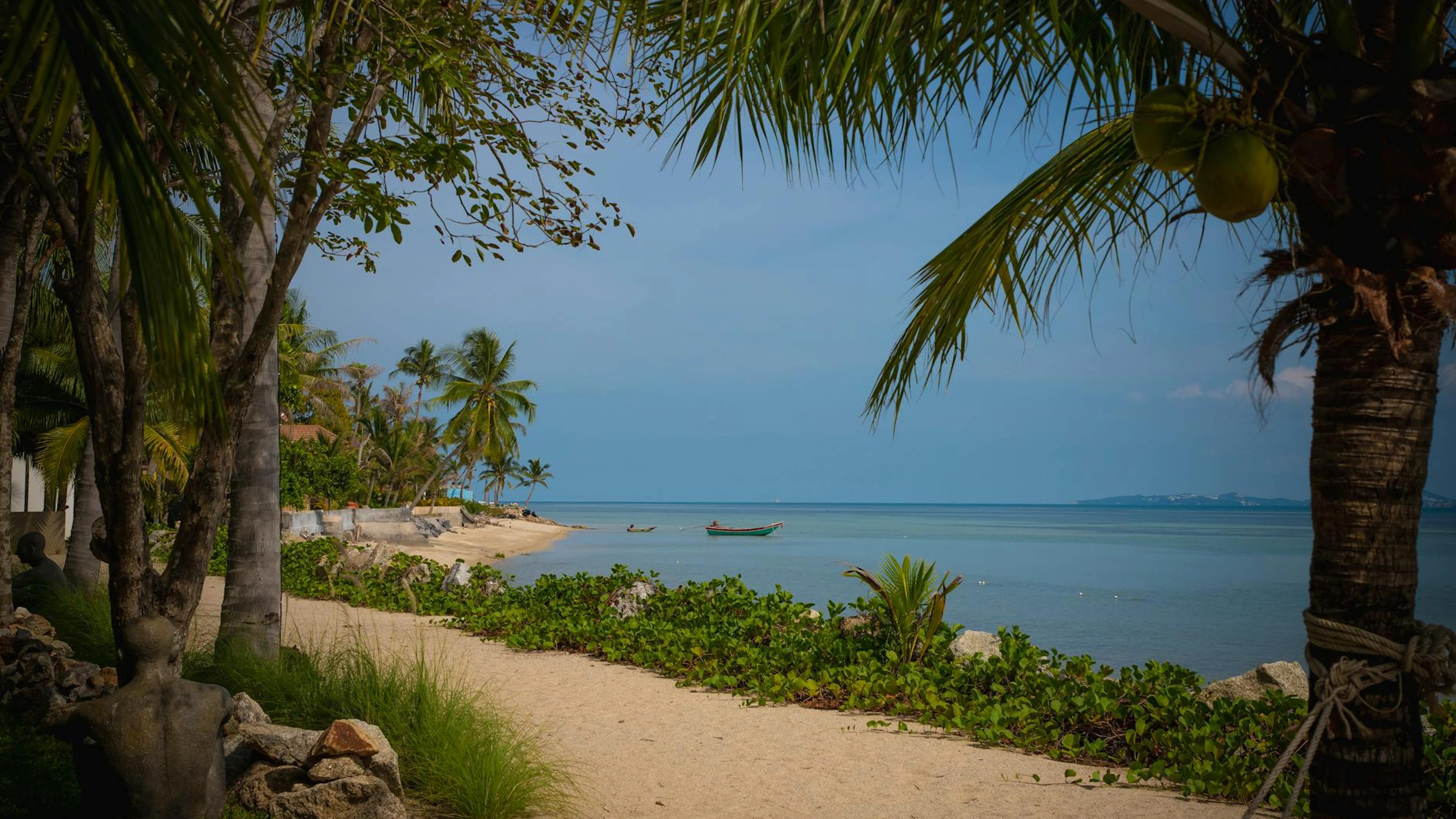 Peaceful tropical beach scene with coconut trees and calm sea. - free 4K Ultra HD ocean wallpaper for desktop