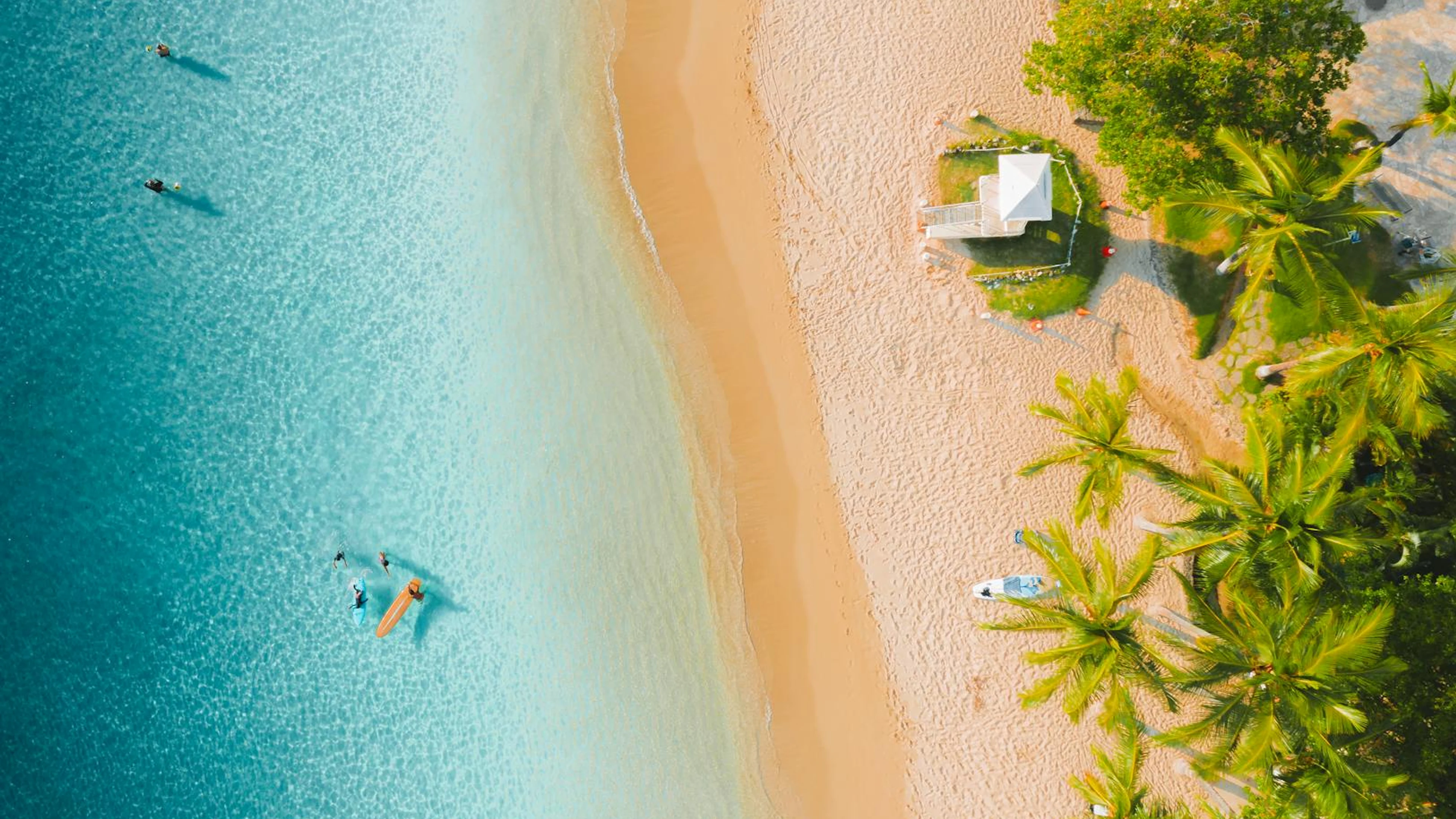 Stunning aerial shot of a tropical beach with turquoise waters, palm trees, and - free 4K Ultra HD ocean wallpaper for desktop