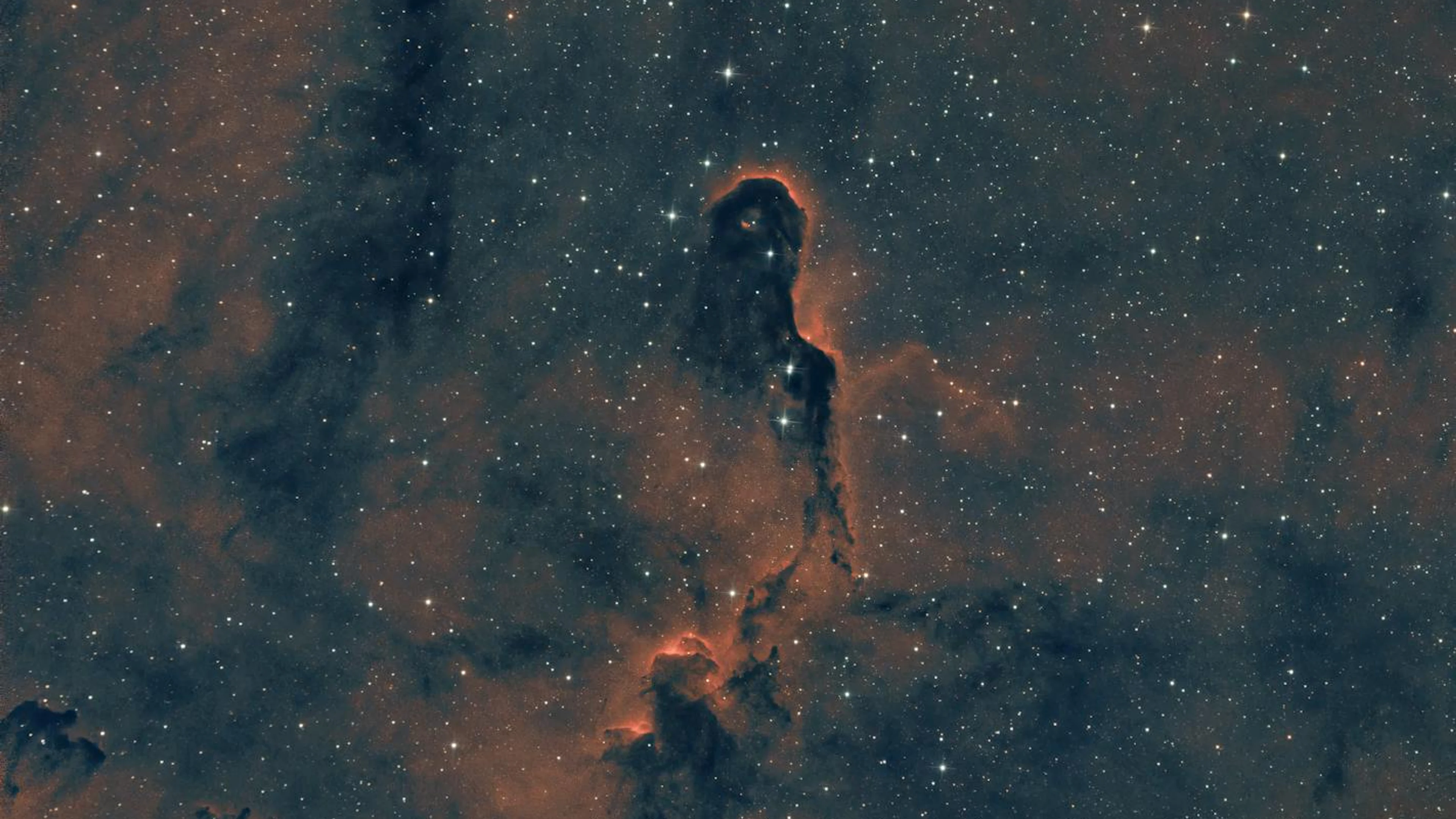 A breathtaking image of the Elephant Trunk Nebula showcasing vivid star clusters - free 4K Ultra HD space wallpaper for desktop