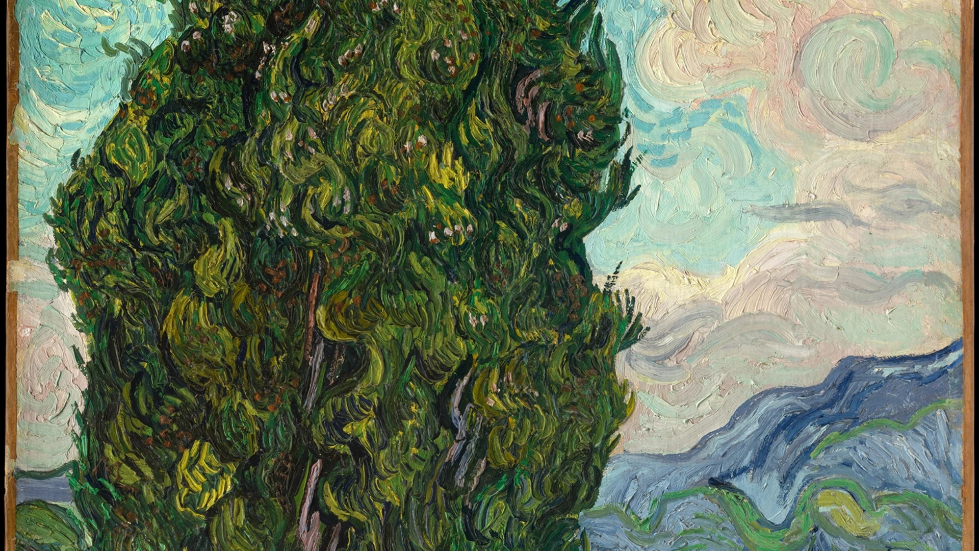 Cypresses - free hd space wallpaper for desktop