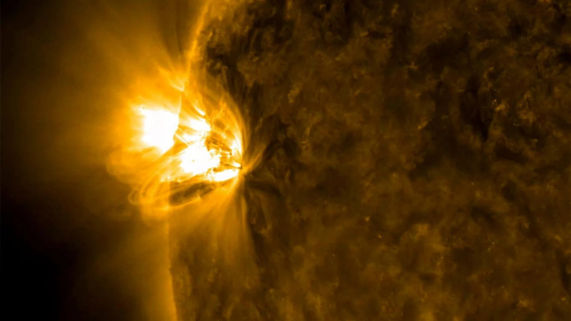 Energized Active Regions - free hd space wallpaper for desktop