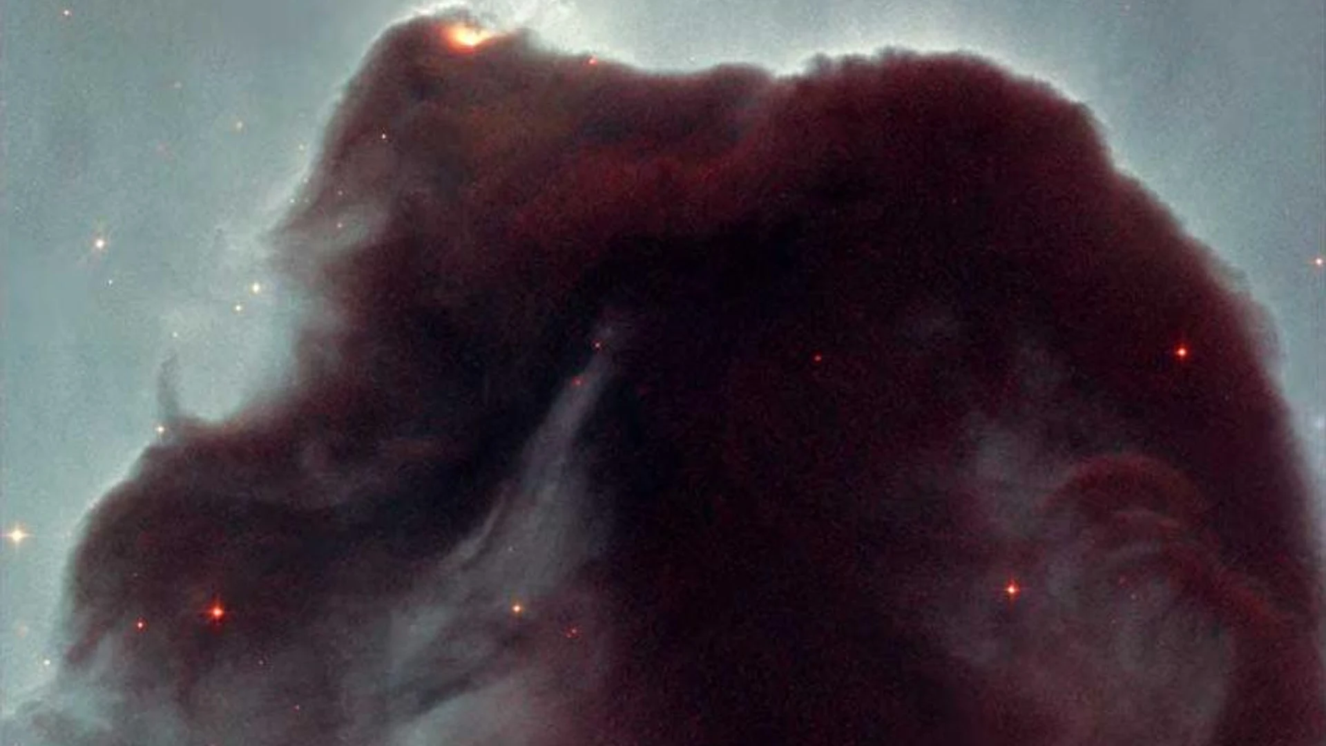 Horsehead Nebula - free hd space wallpaper for desktop