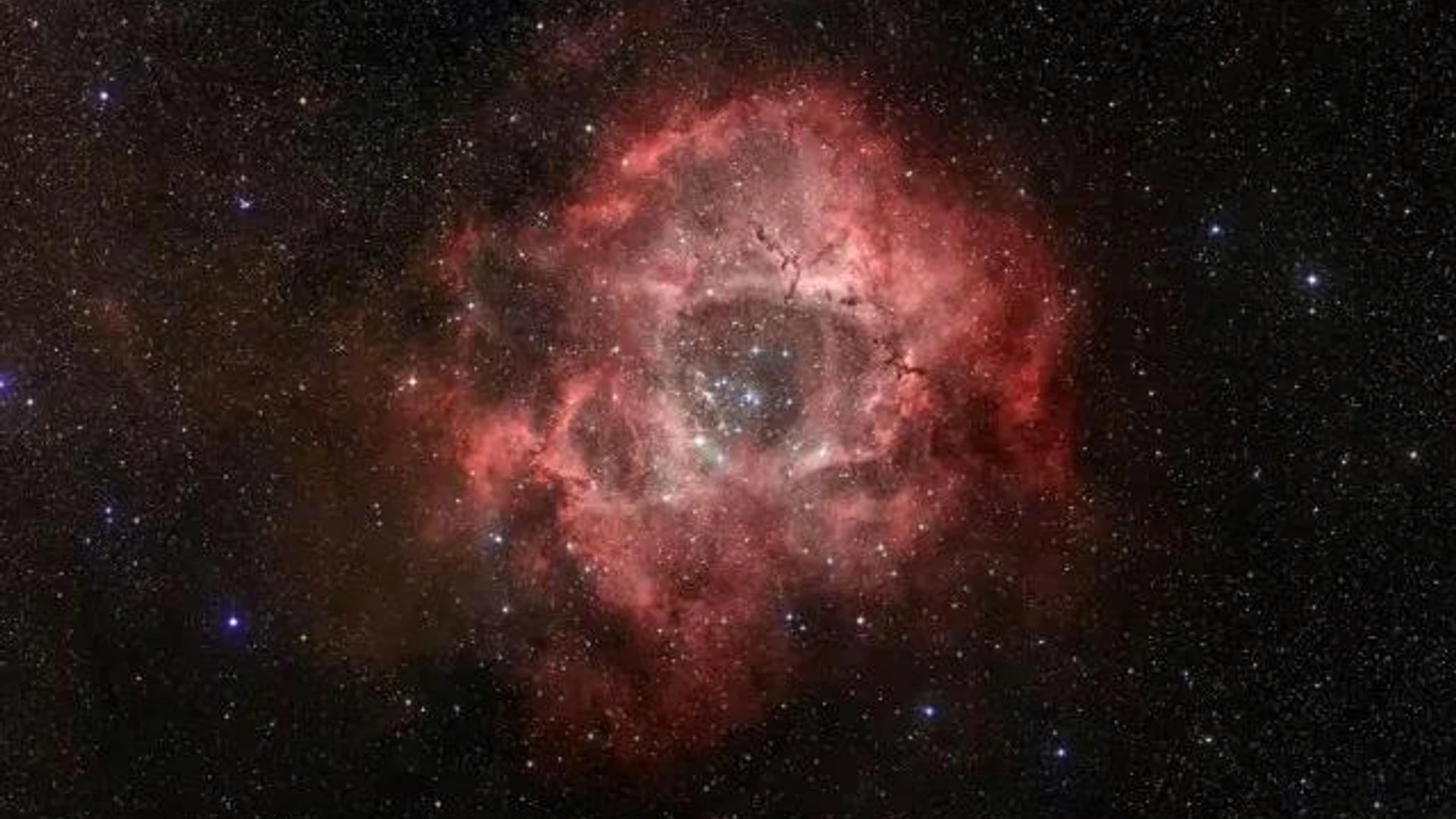 Infrared Rose - free hd space wallpaper for desktop