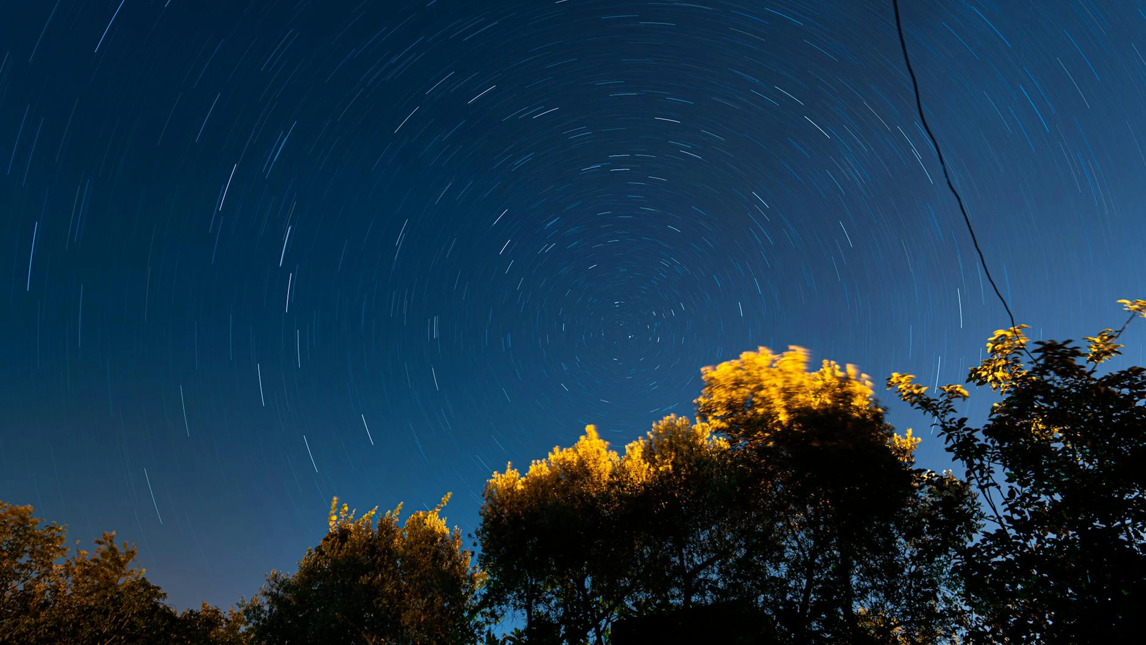 Long exposure of night sky with star trails over silhouetted trees, capturing co - free 4K Ultra HD space wallpaper for desktop