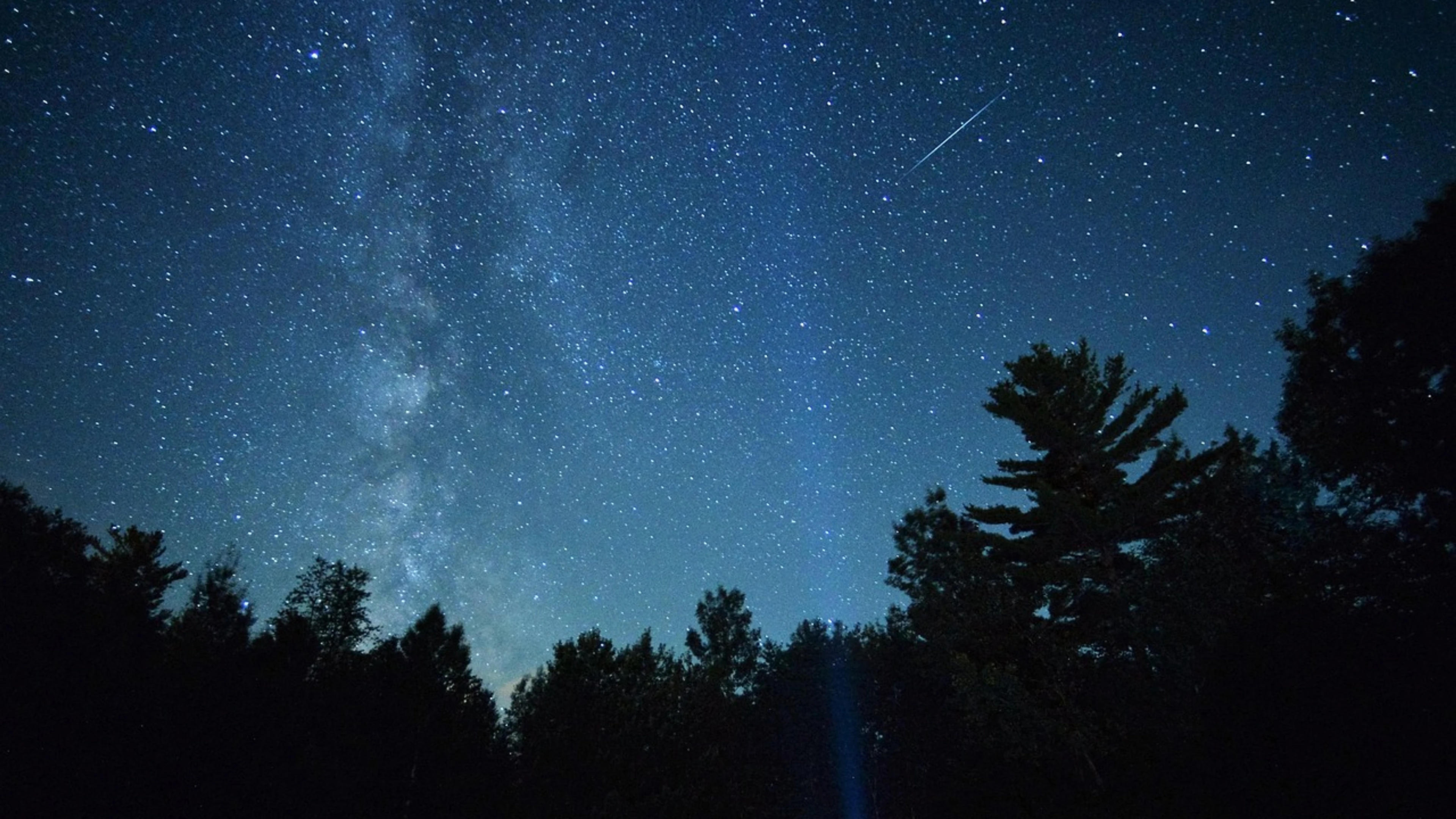 Milky way treetops - free 4K Ultra HD space wallpaper for desktop