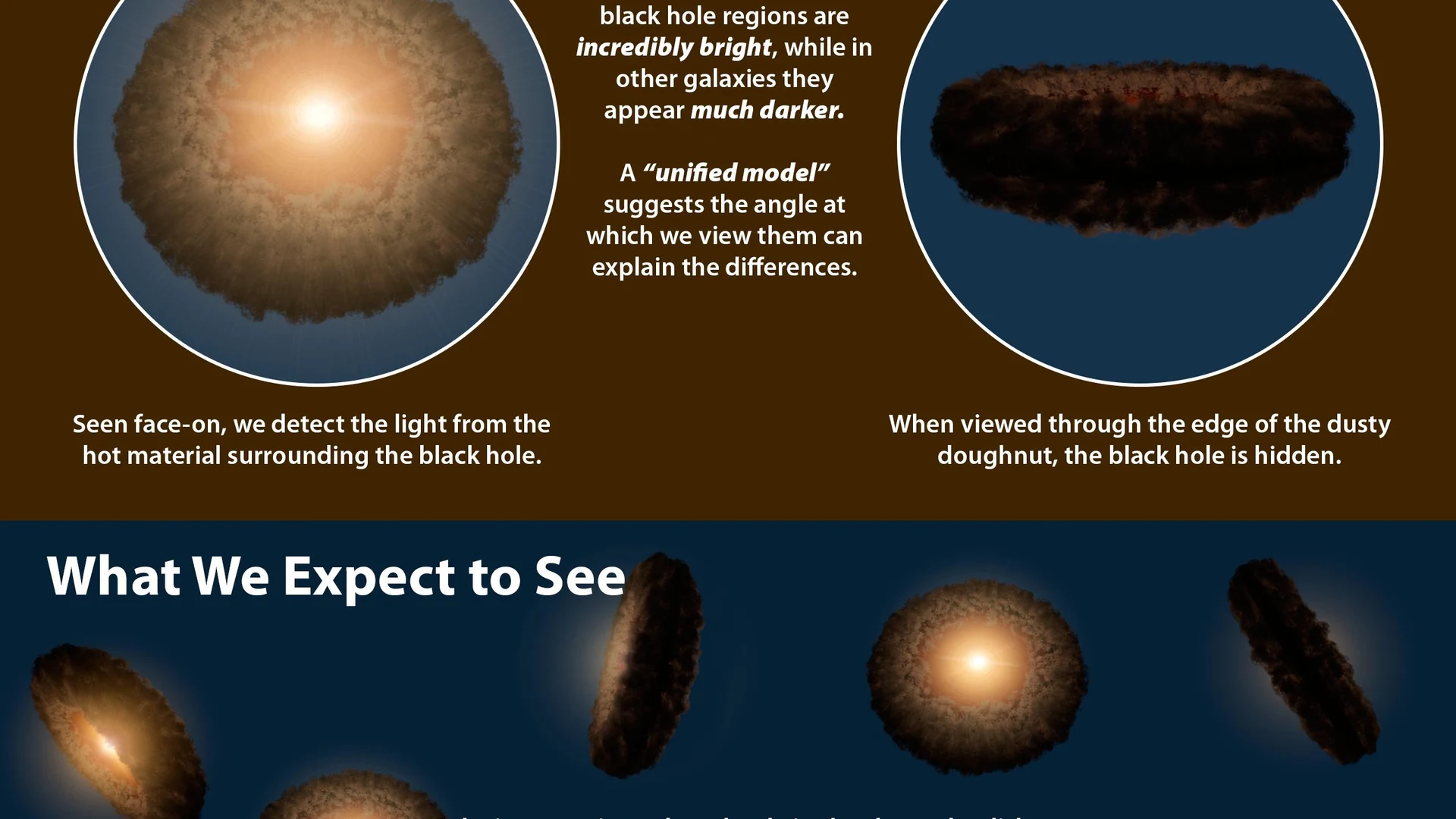 Unified, or Doughnut, Theory of Active, Black Holes - free hd space wallpaper for desktop