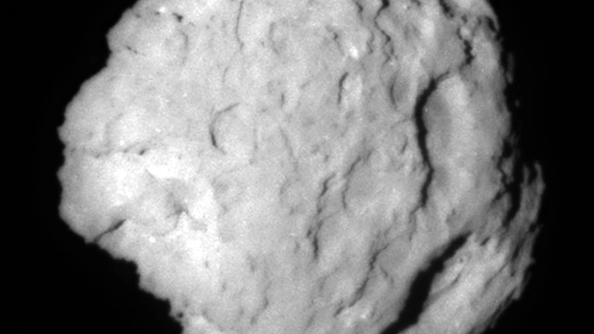 Wild 2 Close Look - free hd space wallpaper for desktop