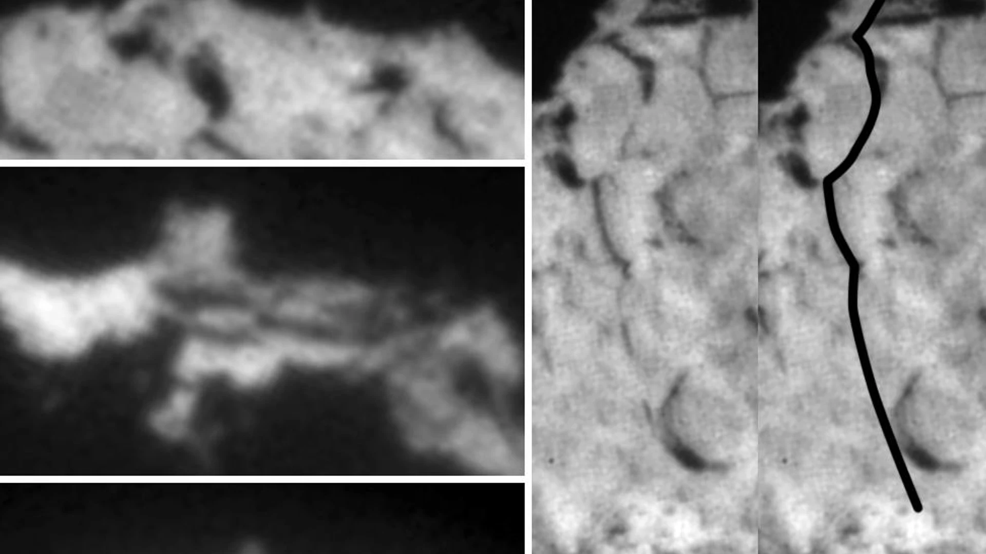 Wild 2 Features - free hd space wallpaper for desktop