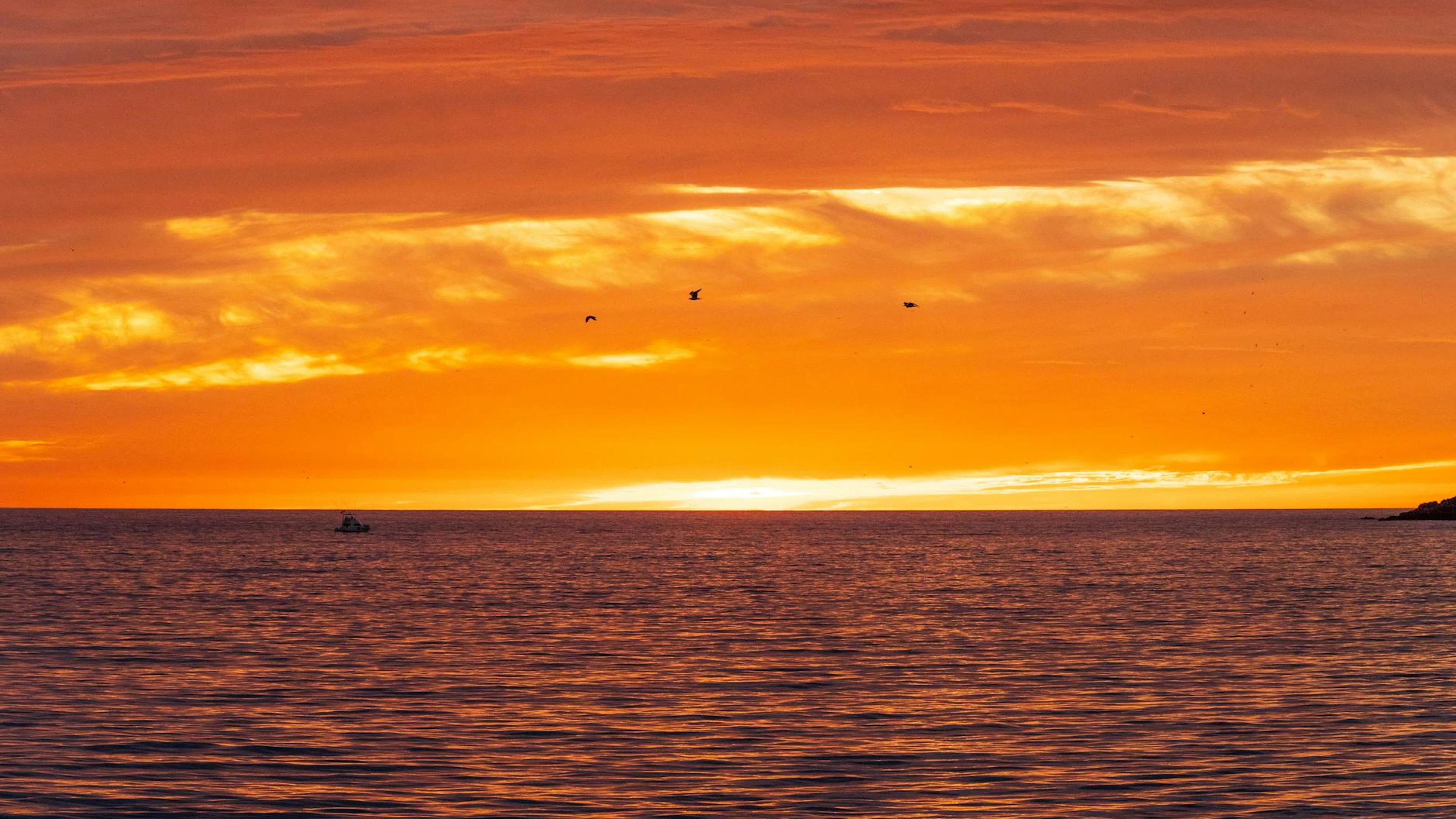 Beautiful orange and yellow sunset over the ocean in Mazatlán, Mexico, with a se - free 4K Ultra HD sunset wallpaper for desktop