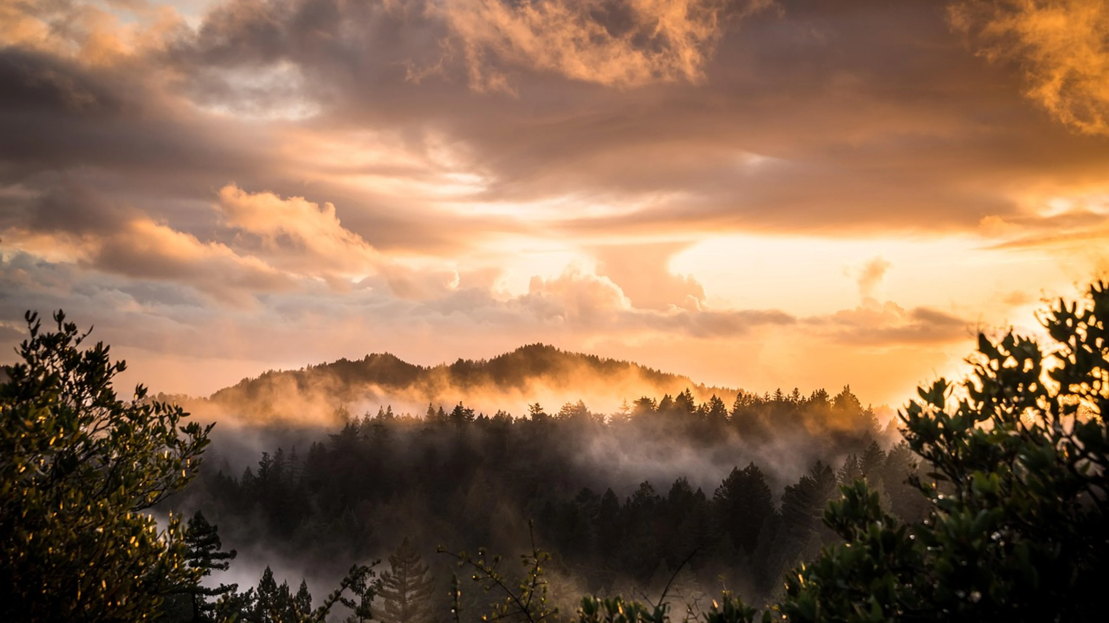 Mountains forest sunset - free 4K Ultra HD sunset wallpaper for desktop