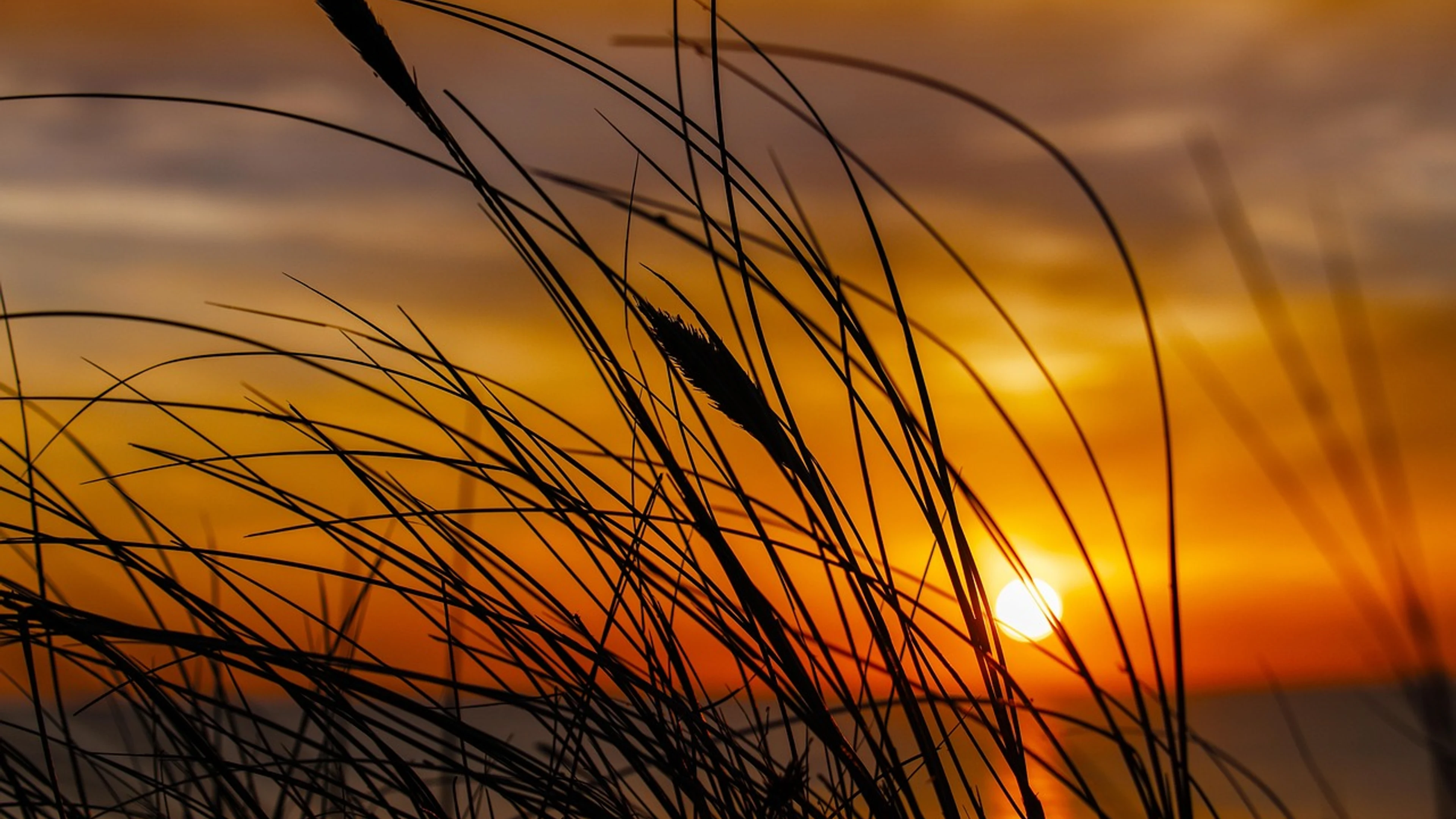 Sea sunset dusk - free 4K Ultra HD sunset wallpaper for desktop