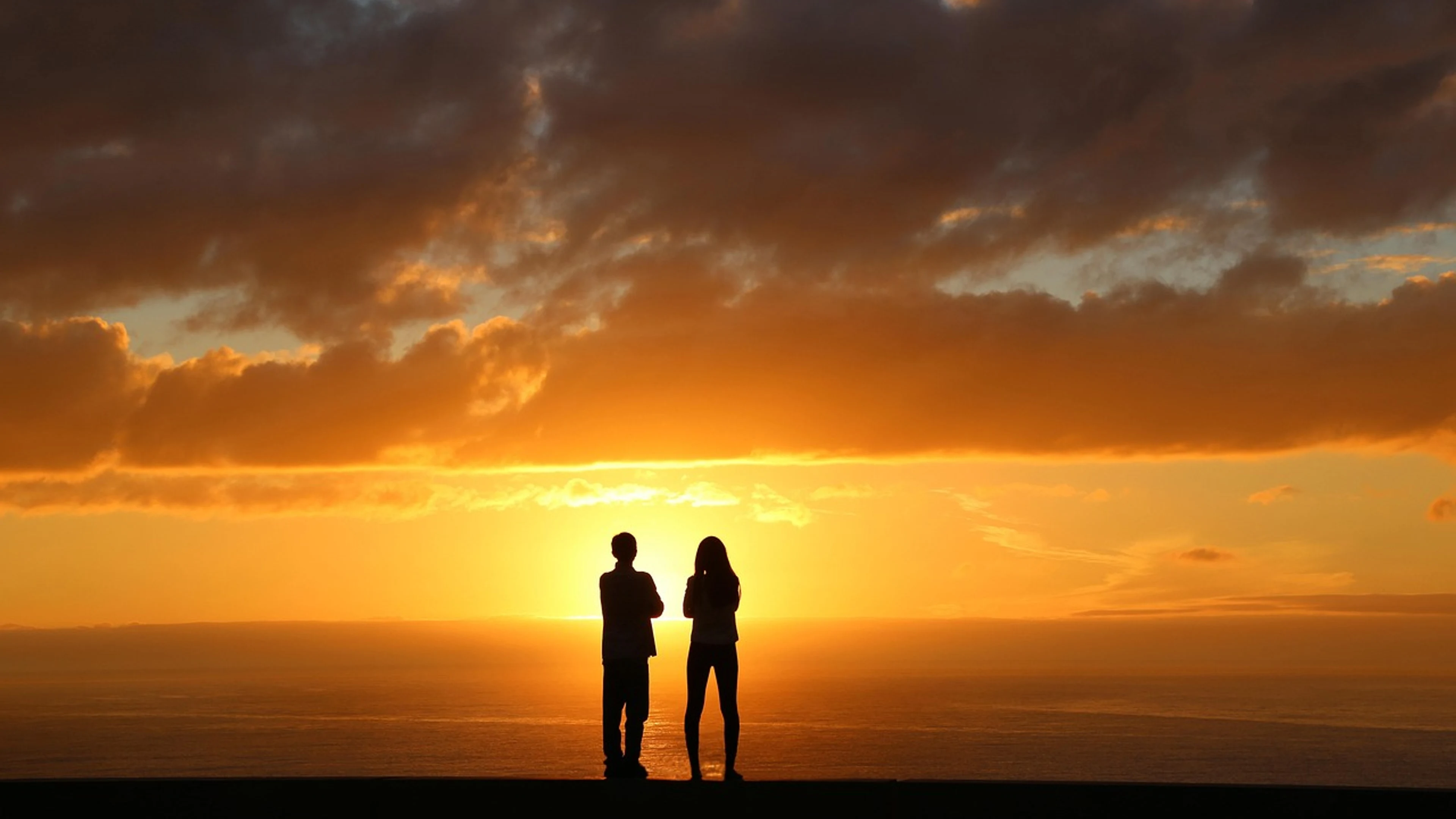 Sunset nature silhouette - free 4K Ultra HD sunset wallpaper for desktop