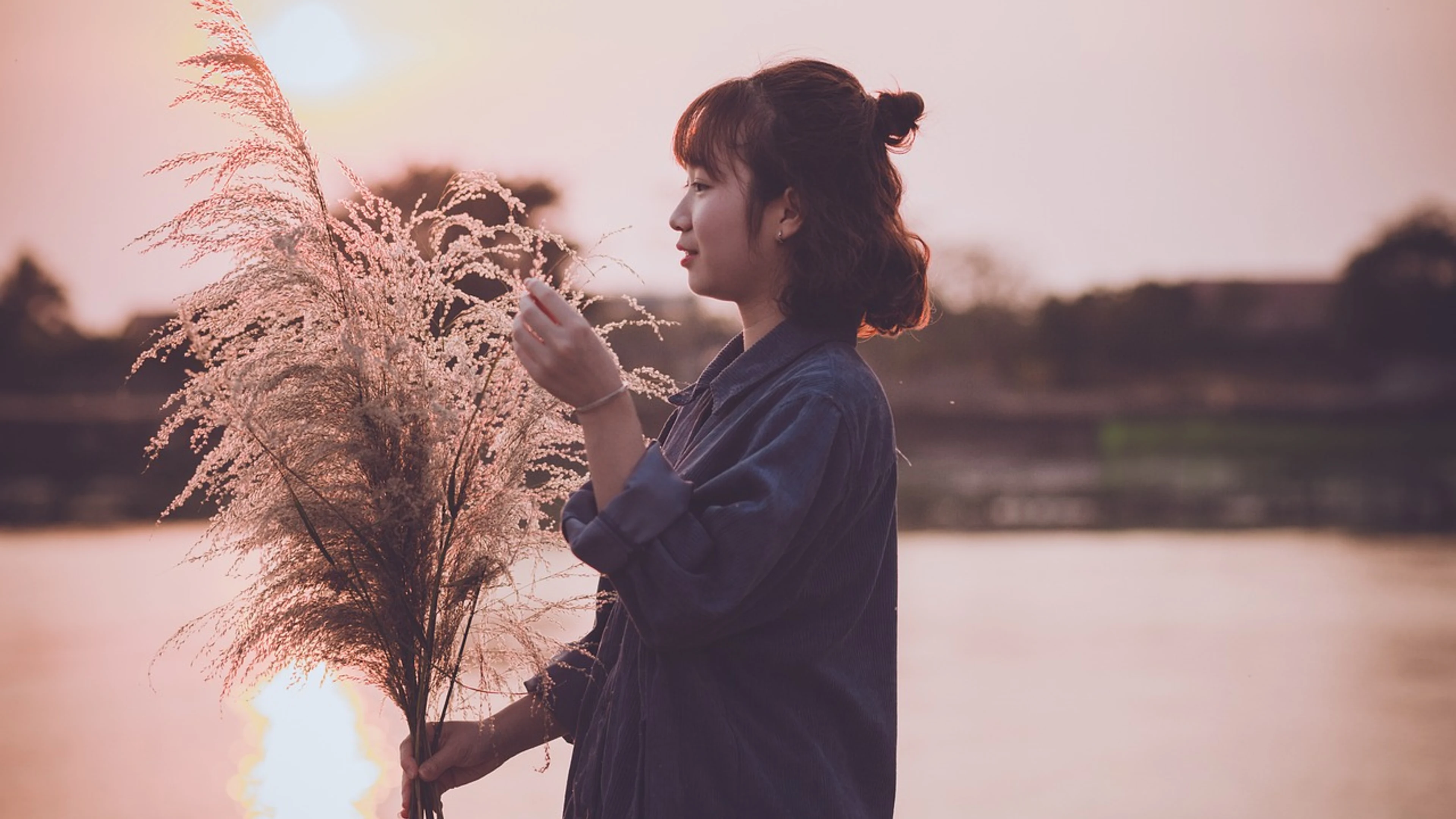 Sunset nature sun - free 4K Ultra HD sunset wallpaper for desktop