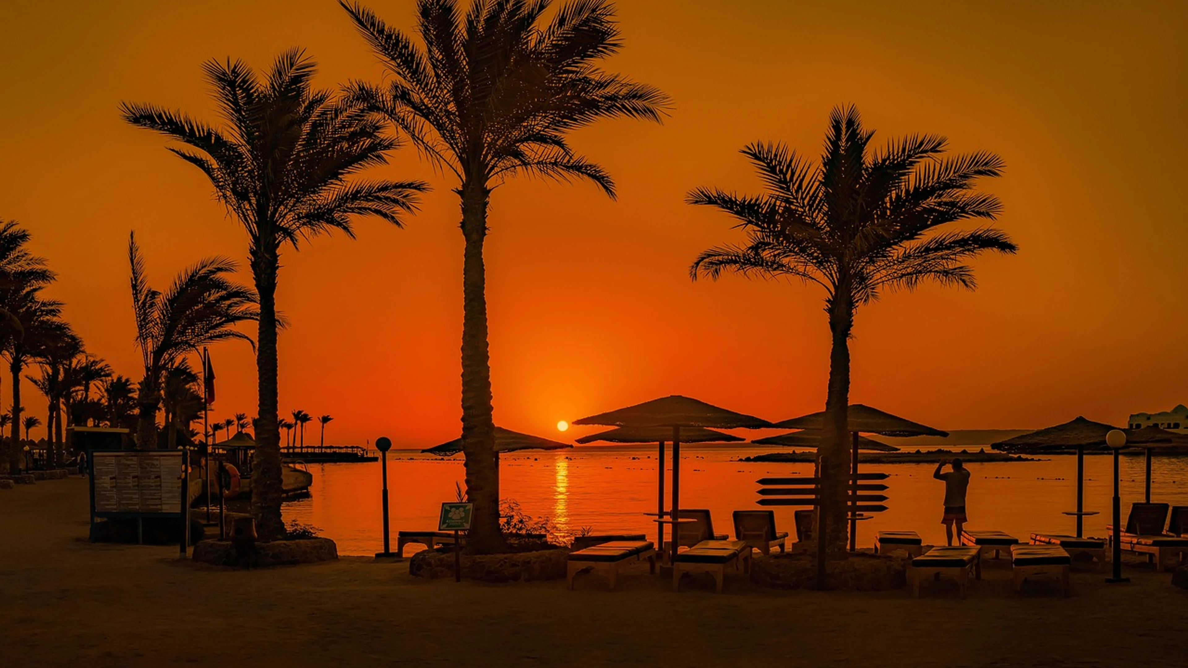 Sunset palm trees beach - free 4K Ultra HD sunset wallpaper for desktop