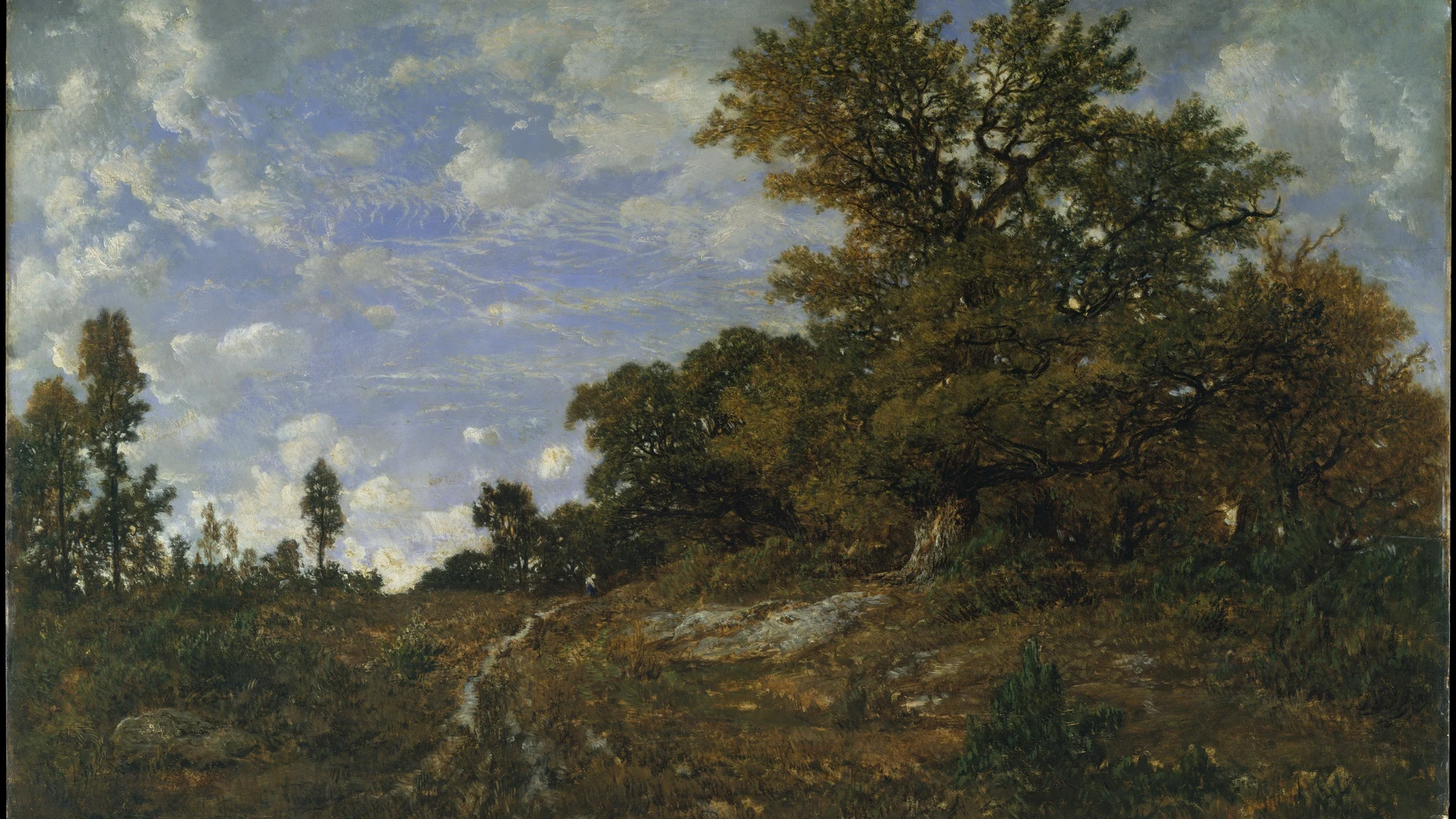 The Edge of the Woods at Monts-Girard, Fontainebleau Forest - free hd sunset wallpaper for desktop